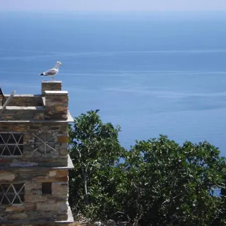 Andros Vineyard House With Sea View