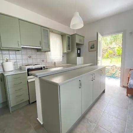 Andros Vineyard House With Sea View 아파트 *