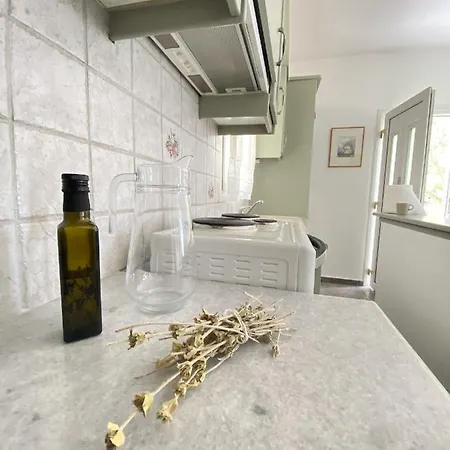 Andros Vineyard House With Sea View 아파트 Sineti