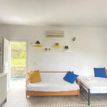 Andros Vineyard House With Sea View