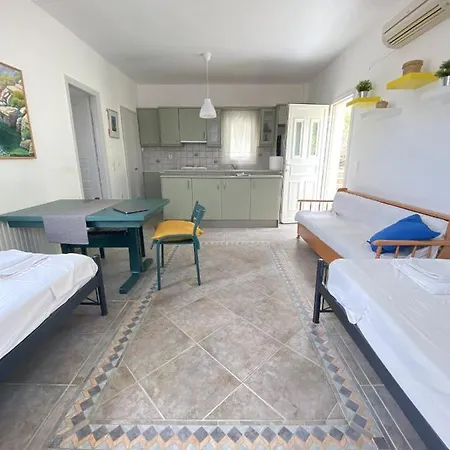 아파트 Andros Vineyard House With Sea View