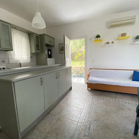 Andros Vineyard House With Sea View